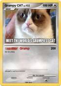 Grumpy CAT