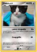 Chaton