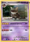 lilbubs