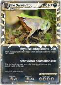 the Darwin frog