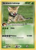 Skrattande katt