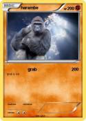 harambe