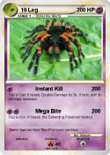 19 Leg