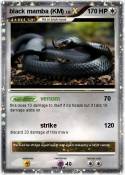 black mamba