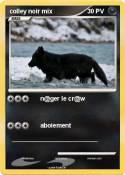 colley noir