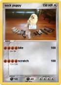 sock puppy