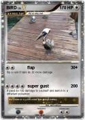 BIRD