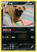 Pug