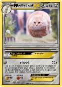 bullet cat