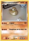 canard