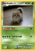 Your Buddy