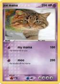 joe mama