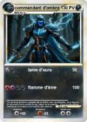 commandant d'om