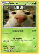 bruh cat