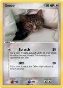 Gonzo