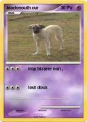 blackmouth cur