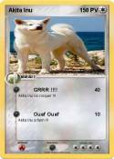 Akita Inu
