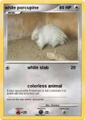 white porcupine