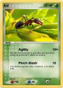 Ant
