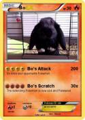 Bo