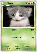 ufo cat