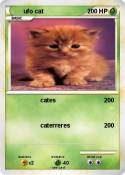 ufo cat