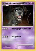 irish wolfhound