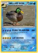 MALLARD BOSS