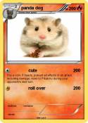 panda dog