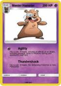 Master Hamster