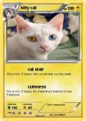 kitty cat