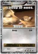 Puppy