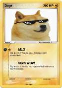Doge