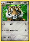 taillgeur