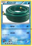 hosehead