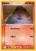 hamster