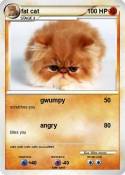 fat cat