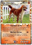 Chien-tigre