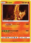 fire bird