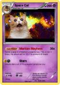Space Cat