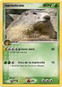 marmoticono