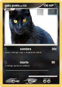 gato preto