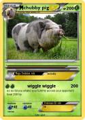 chubby pig