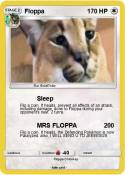 Floppa