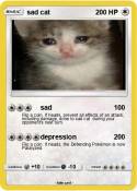 sad cat