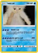 bald cat