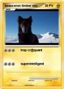 beauceron timbe