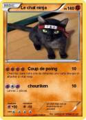 Le chat ninja