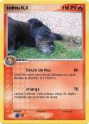 tedfeu N.X