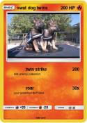 swat dog twins